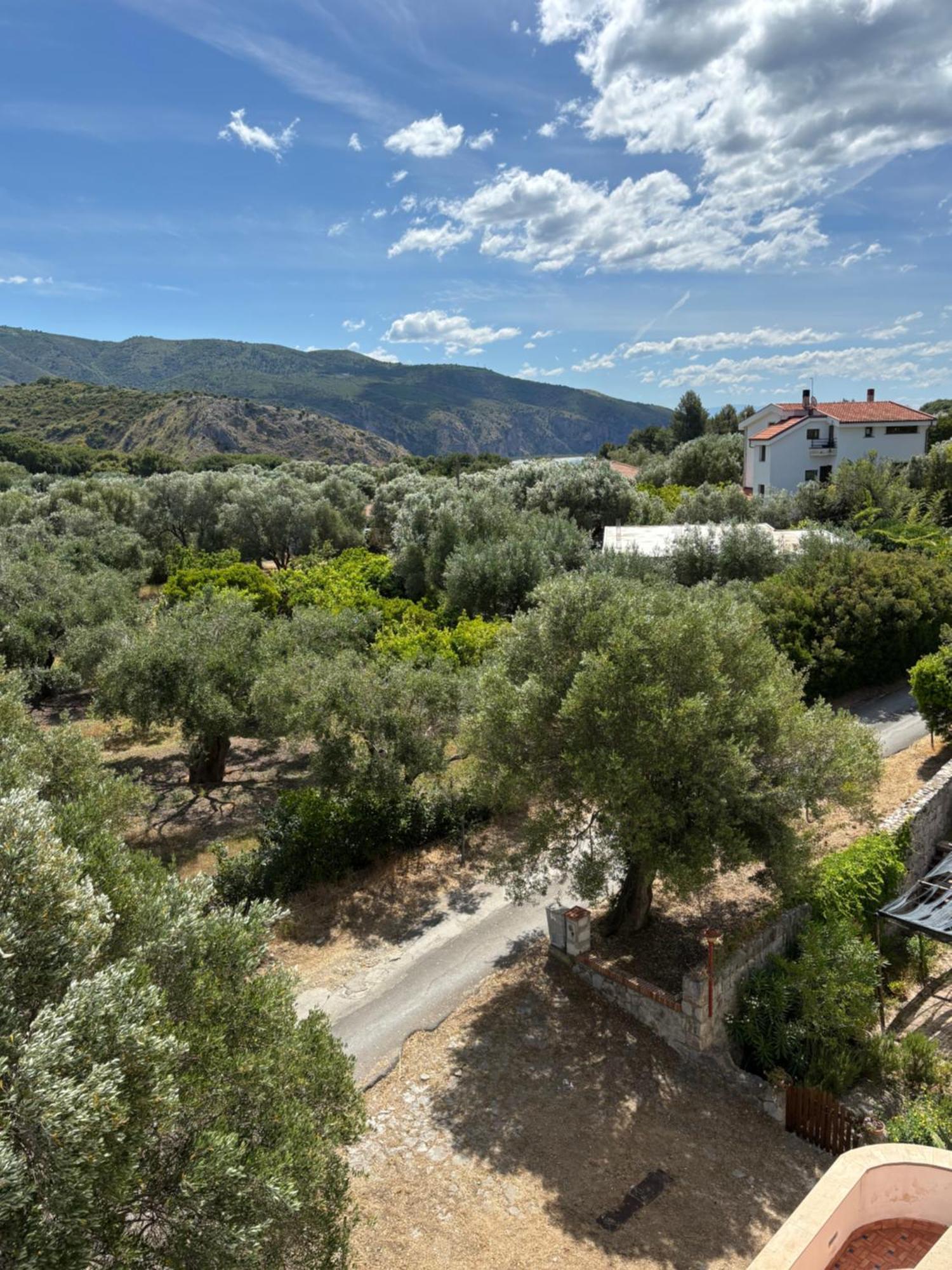 B&B La Marinella Palinuro Luaran gambar